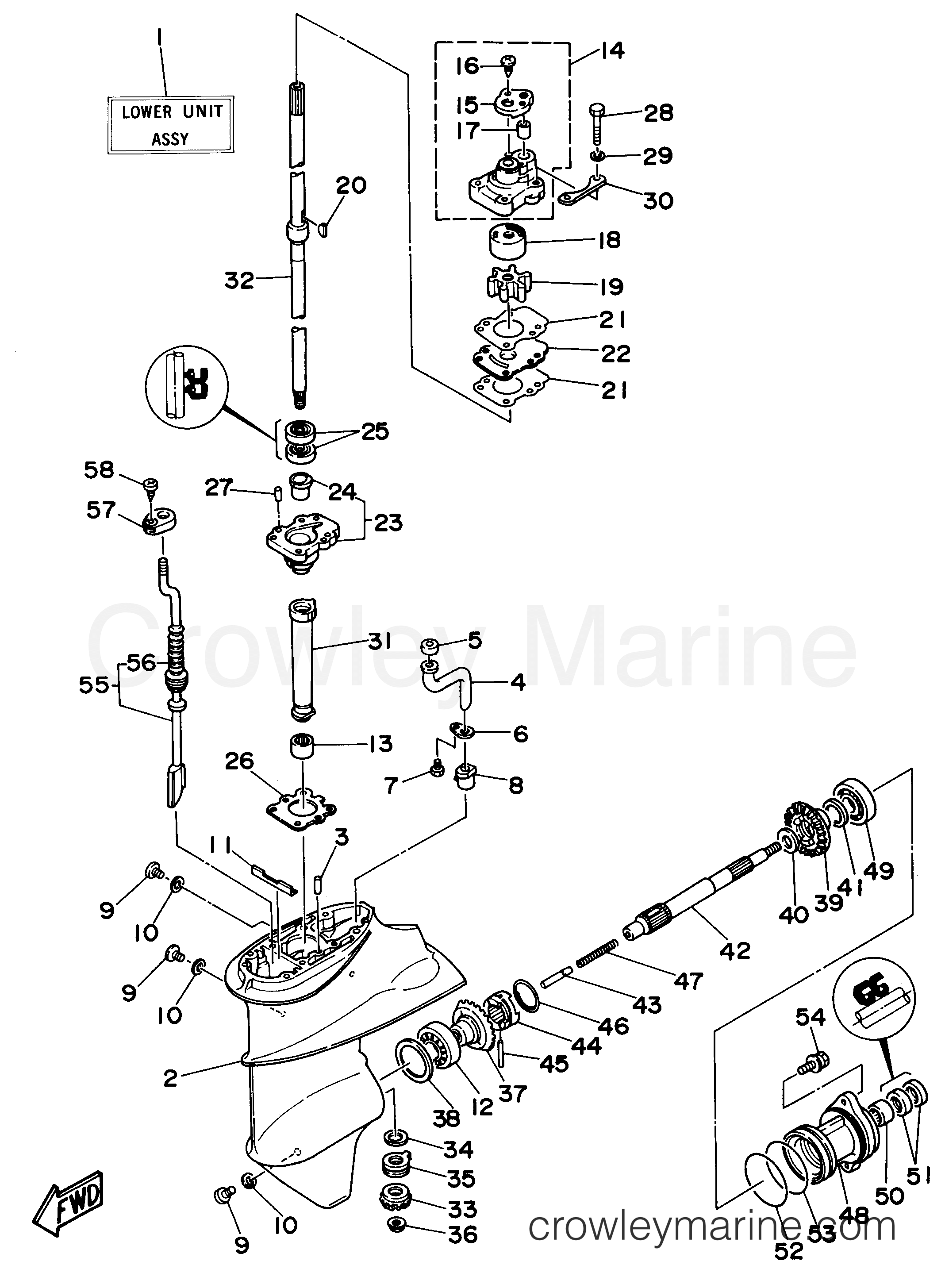 Yamaha Motors F9.9MLHV - LOWER CASING DRIVE 1