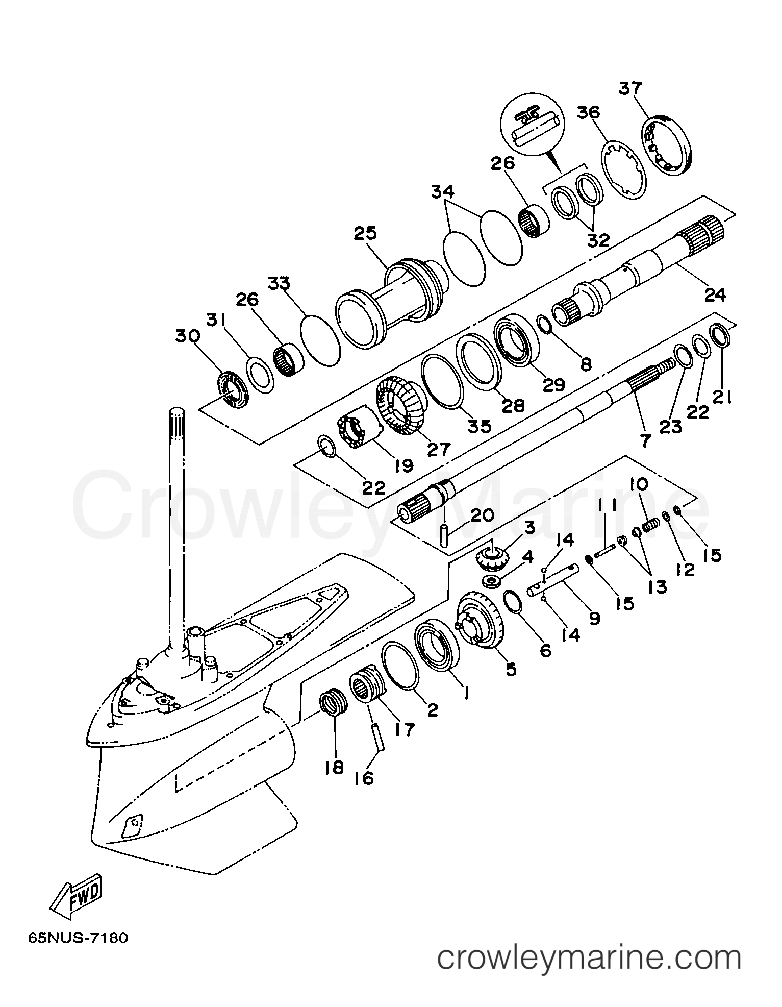 Yamaha Motors D150TLRX - LOWER CASING DRIVE 2A