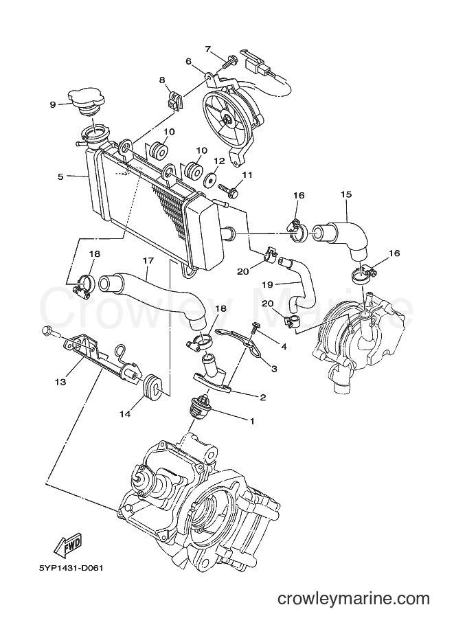 2006 Scooter T135SE - T135SE (1S91) [010] - RADIATOR & HOSE