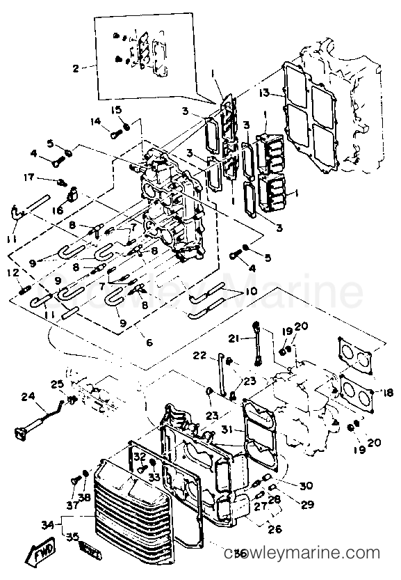 Yamaha Motors C115TLRP - INTAKE