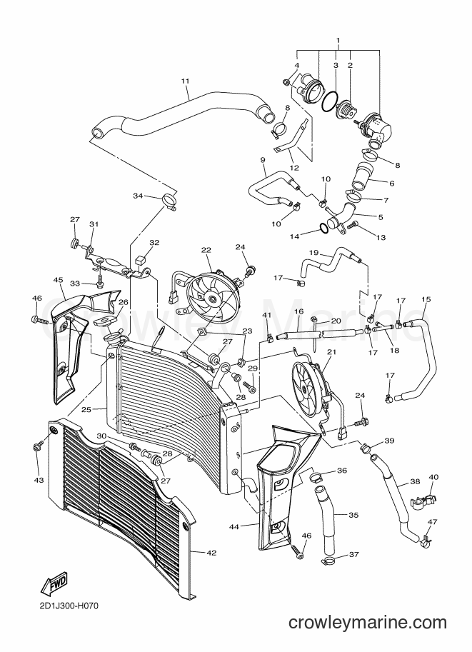 Yamaha Motors FZ1-N (2D1M) [010] - RADIATOR & HOSE