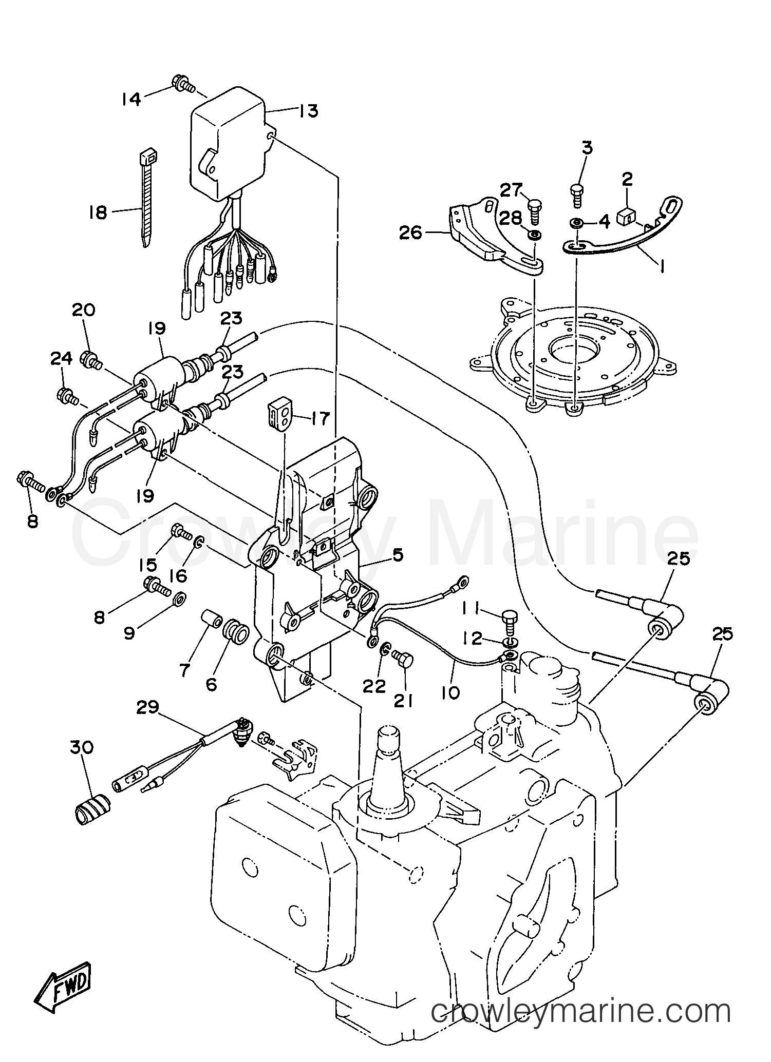 Yamaha Motors C30ELRV - ELECTRICAL 1