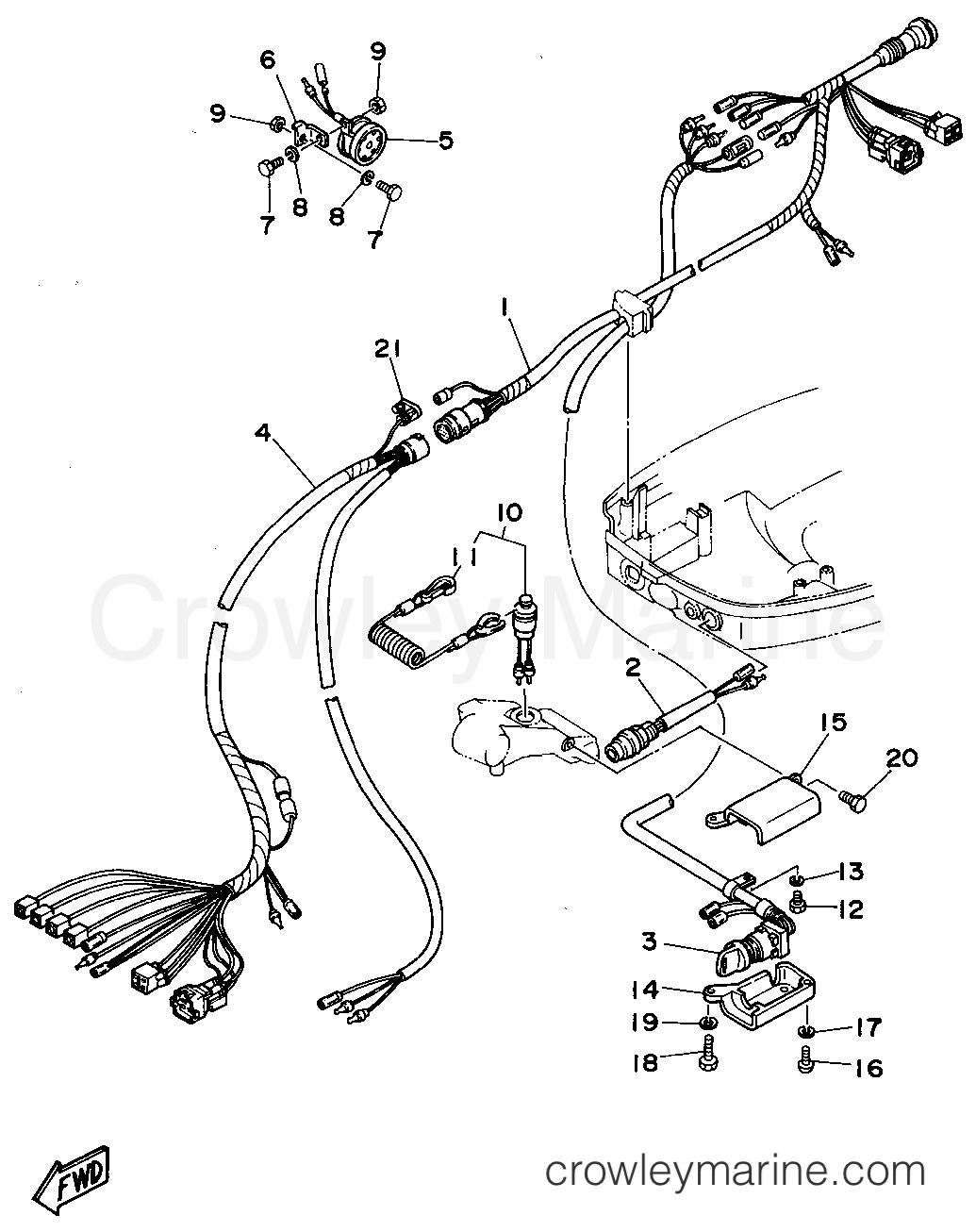 Yamaha Motors 50TLHS - ELECTRICAL 3