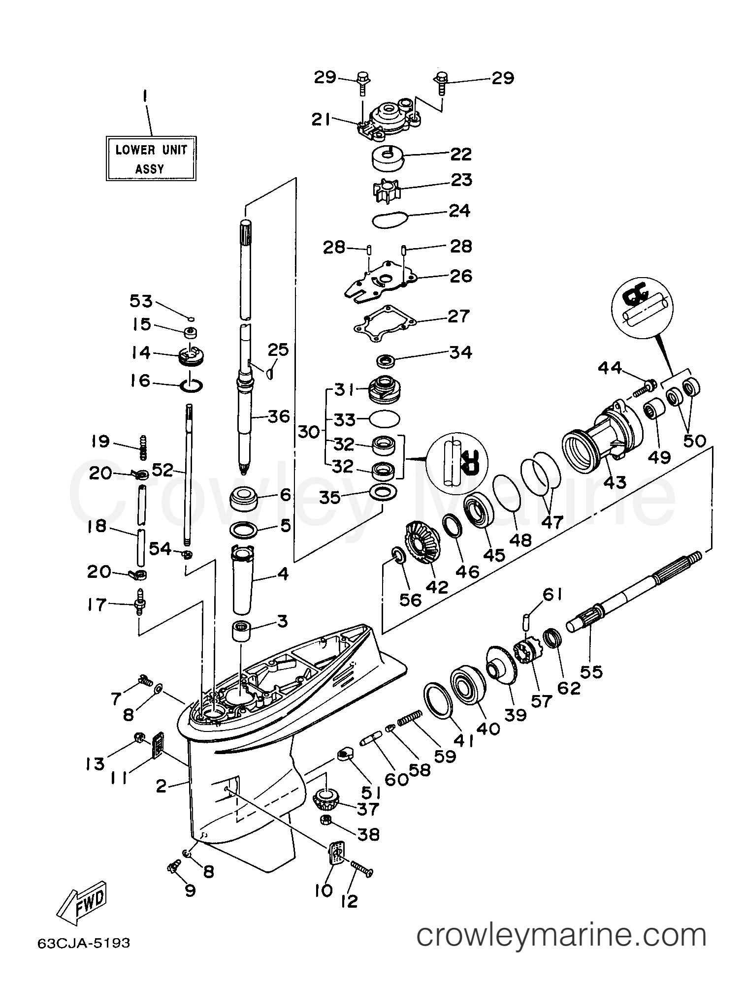 Yamaha Motors C40TLRX - LOWER CASING DRIVE 1