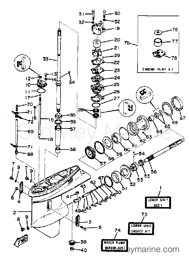 Yamaha Motors 90ETLN - LOWER  DRIVE 1
