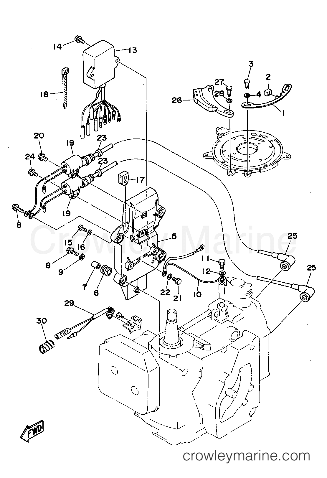 Yamaha Motors C30ELRT - ELECTRICAL 1