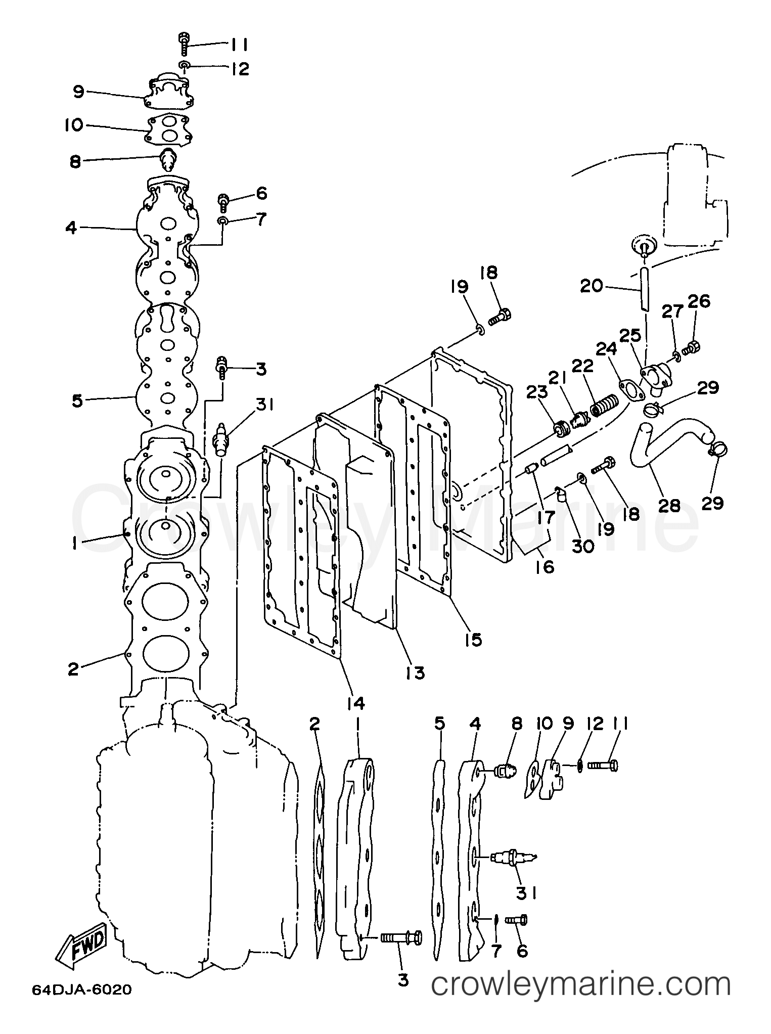 Yamaha Motors D150TLRX - CYLINDER CRANKCASE 2