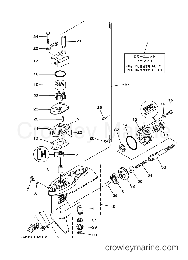 Yamaha Motors F2AMHS (6S77) [100] - LOWER CASING & DRIVE 1