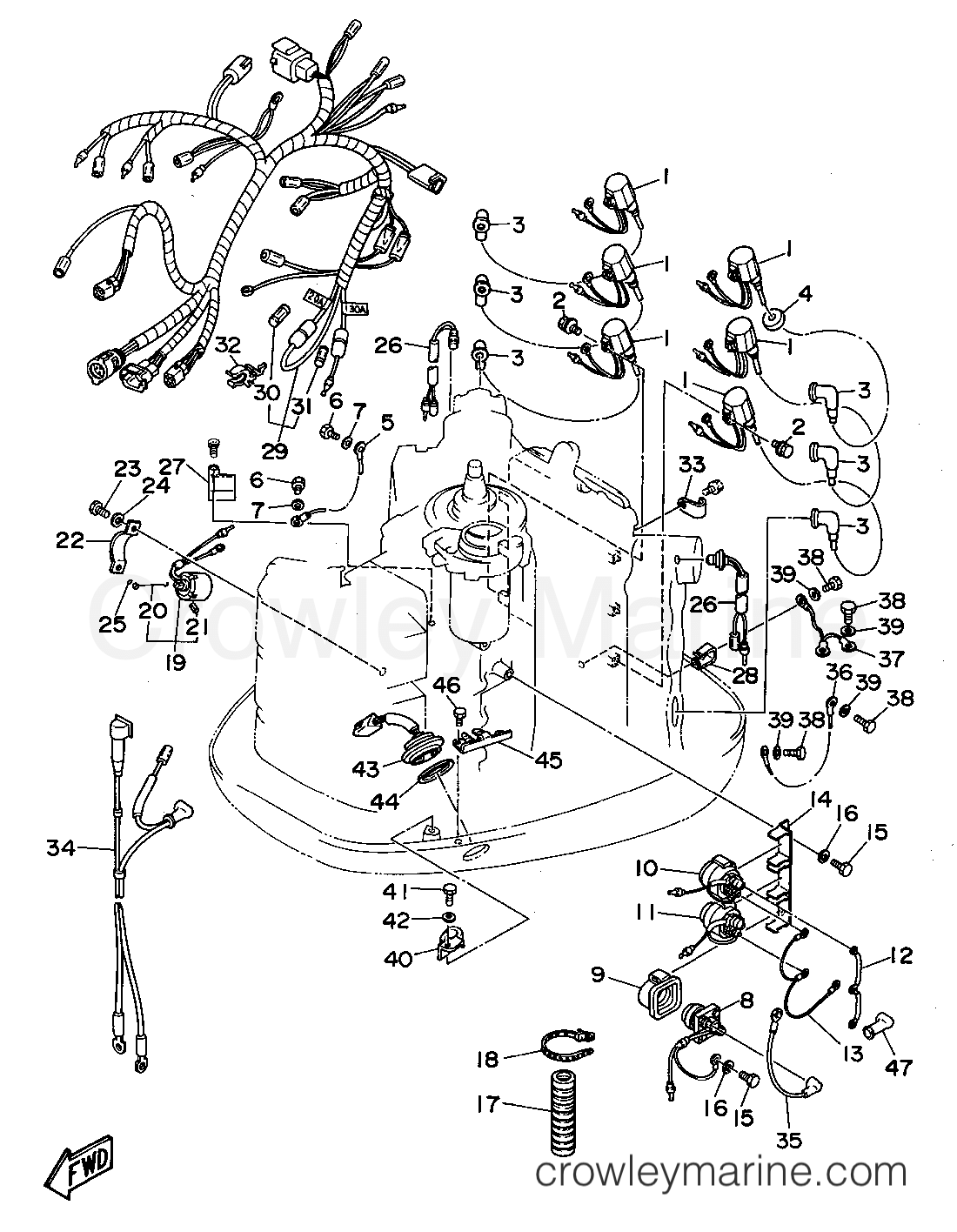 Yamaha Motors P150TLRT - ELECTRICAL 2