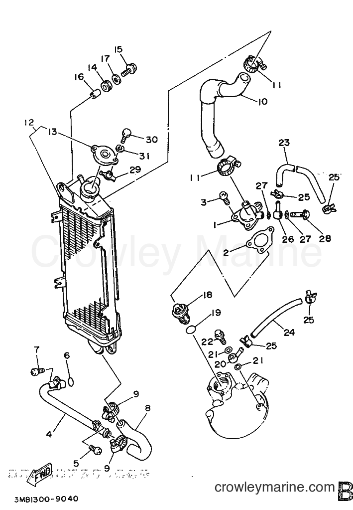 Yamaha Motors DT125R (3PY1) [999] - RADIATOR & HOSE