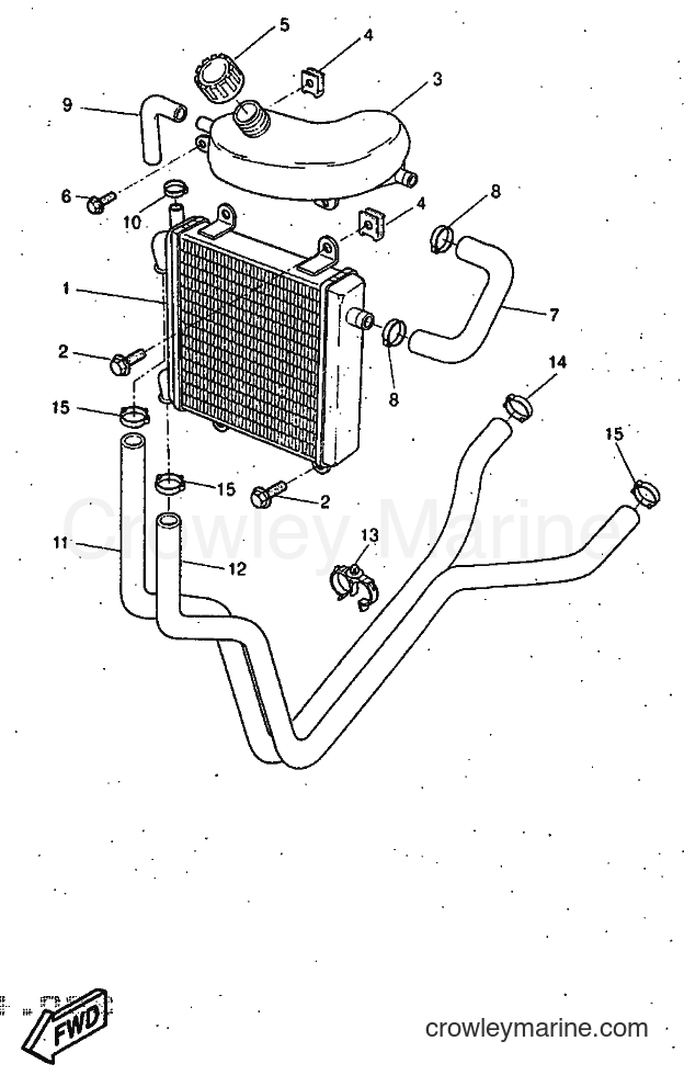 1997 Scooter YQ50 - YQ50 (5CL1) [999] - RADIATOR & HOSE