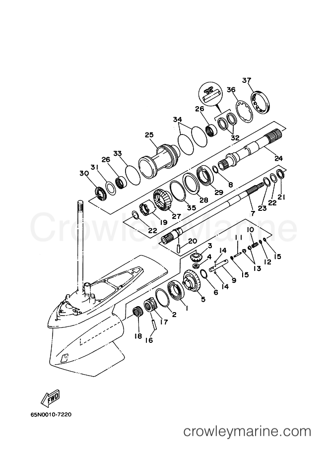 Yamaha Motors D150NETOL (67N2) [030] - LOWER CASING & DRIVE 2