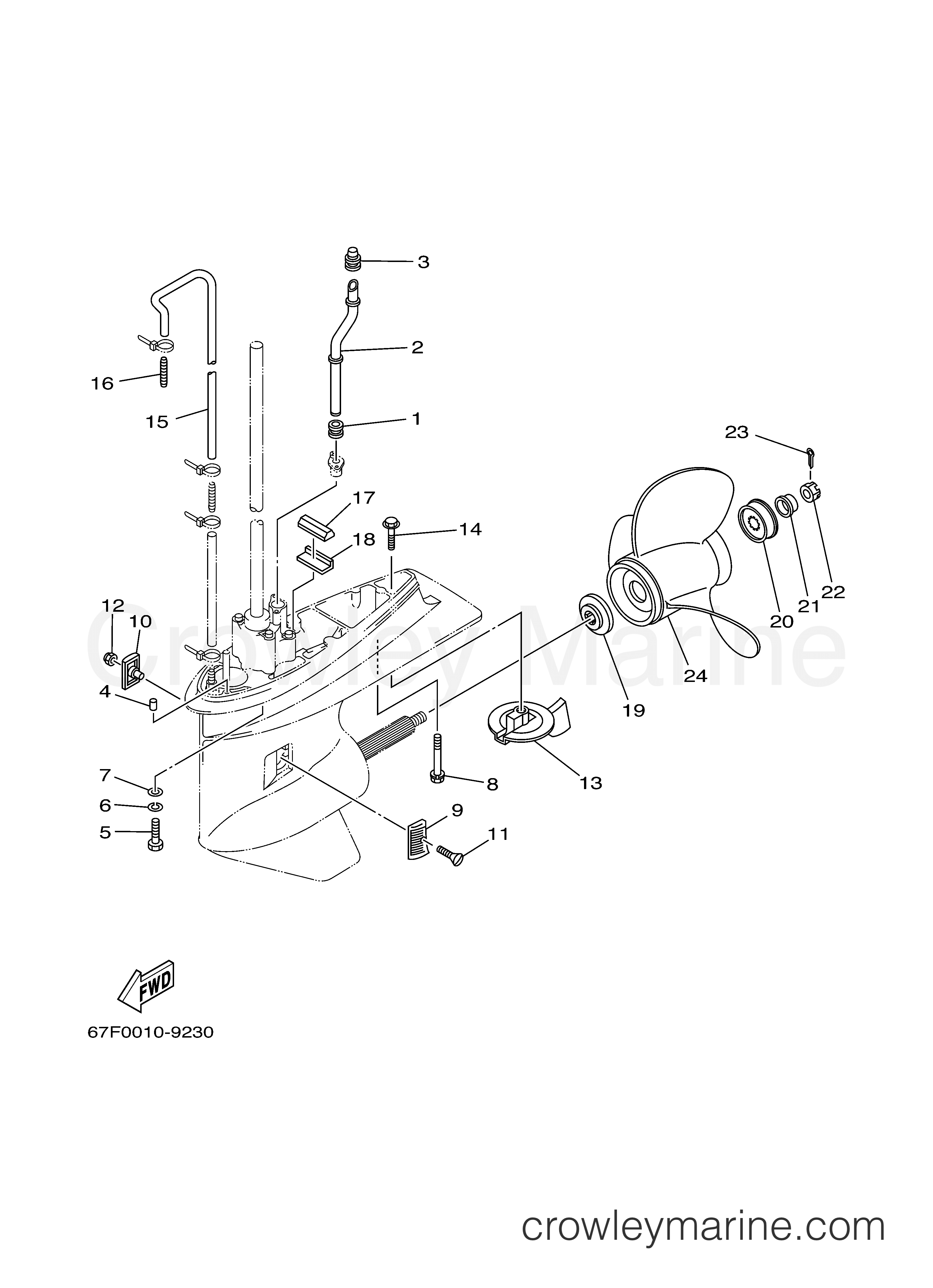 Yamaha Motors F80TXRY - LOWER CASING DRIVE 2