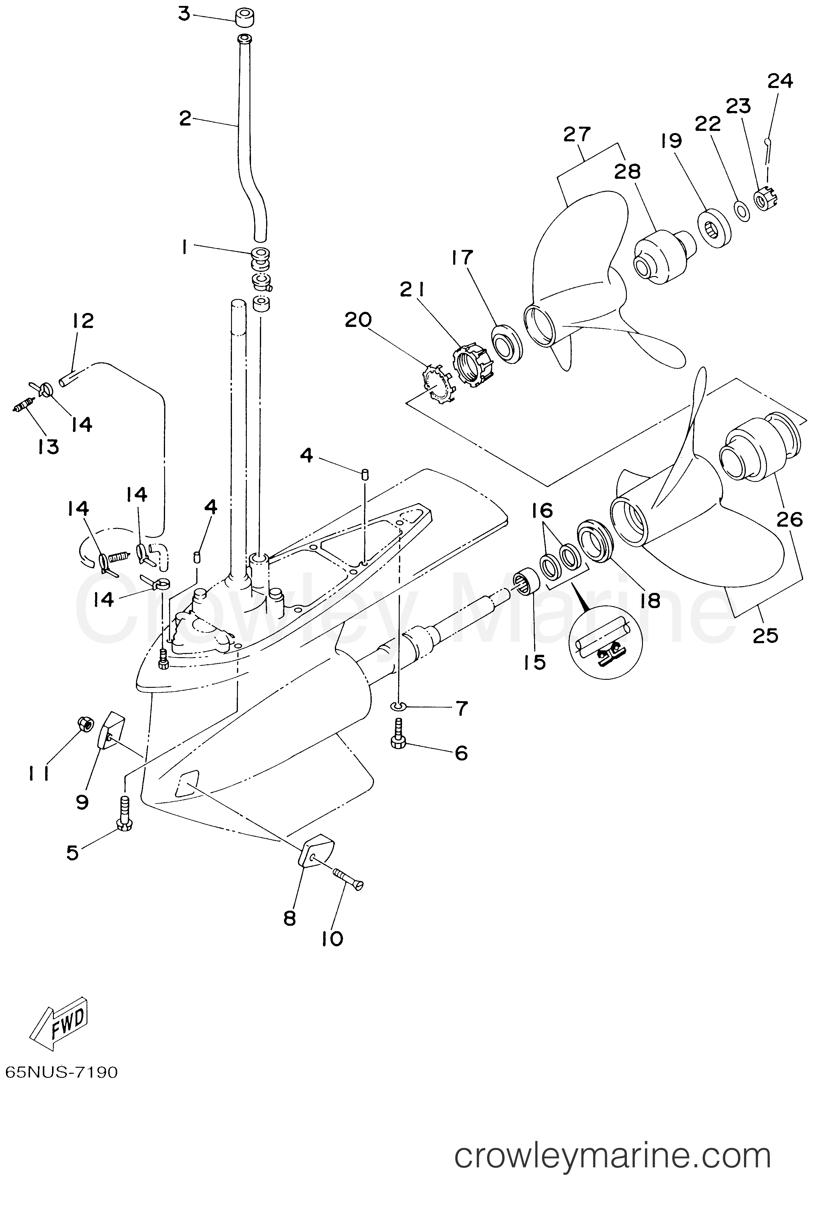 Yamaha Motors DX150TLRX - LOWER CASING DRIVE 2B
