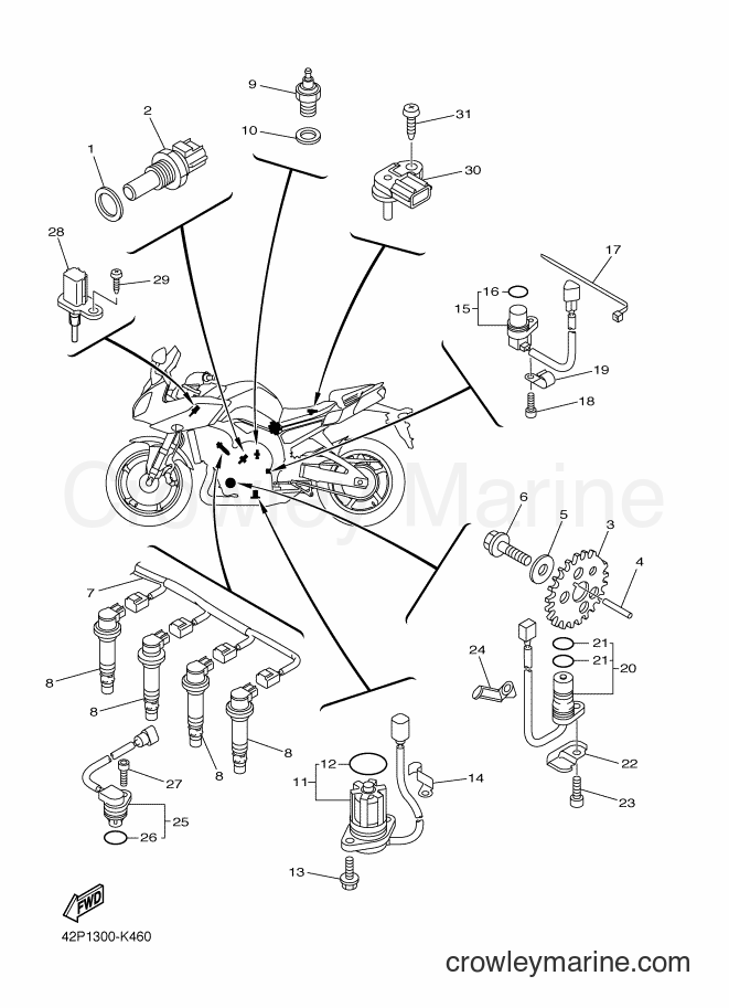 2012 Street Bike FZ8-S - FZ8-S (42P4) [030] - ELECTRICAL 1