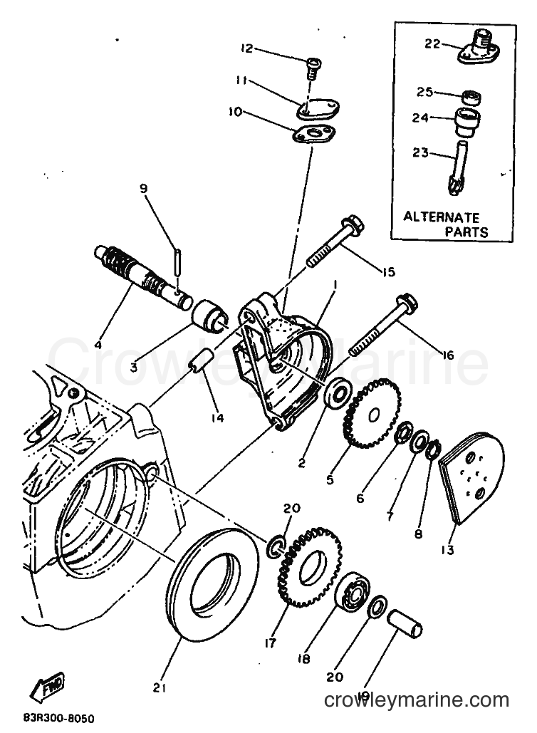 1992 Snowmobile VK540E - VK540E (86V4) [010] - PUMP DRIVE GEAR