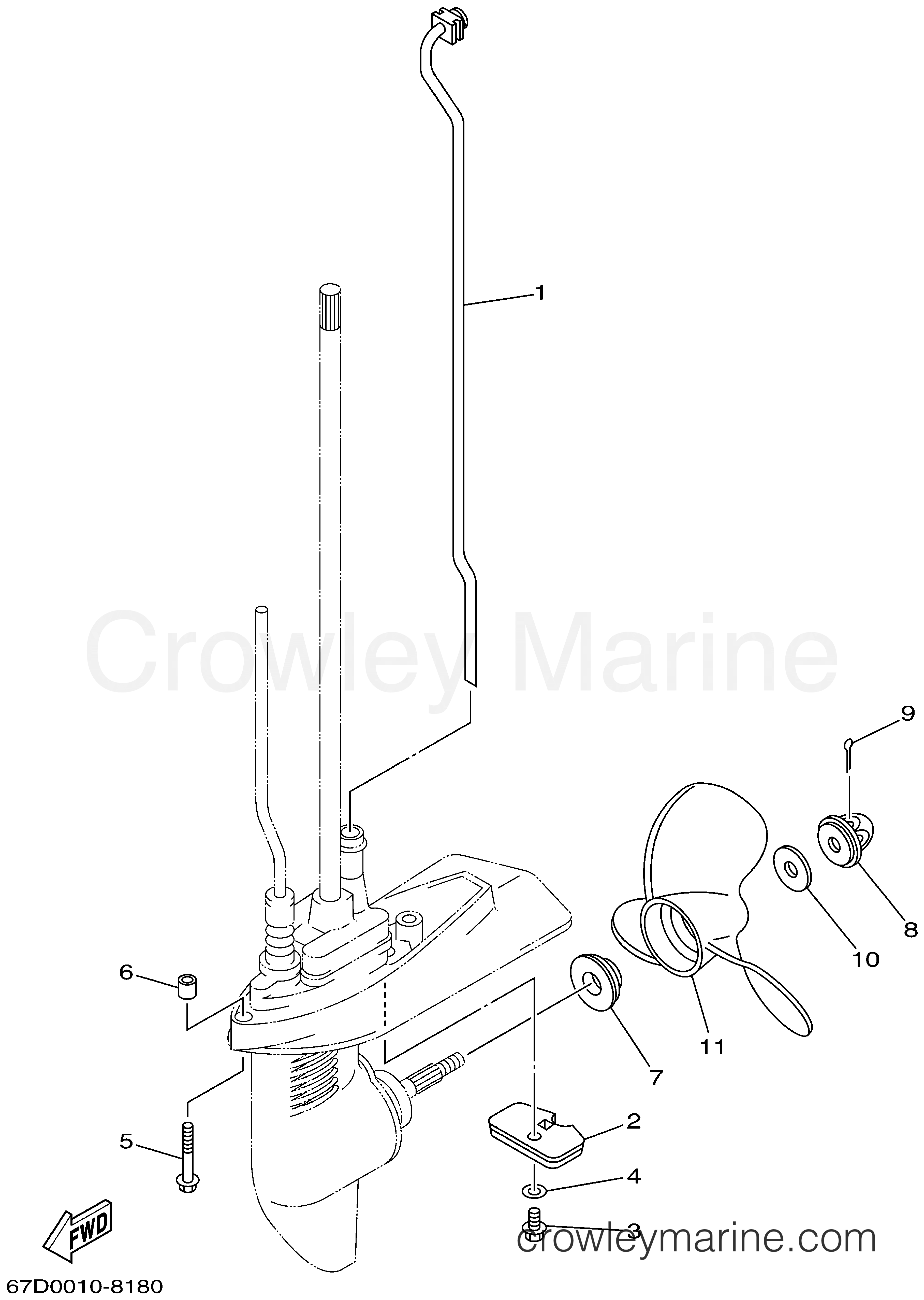 Yamaha Motors F4MSHA - LOWER CASING DRIVE 2