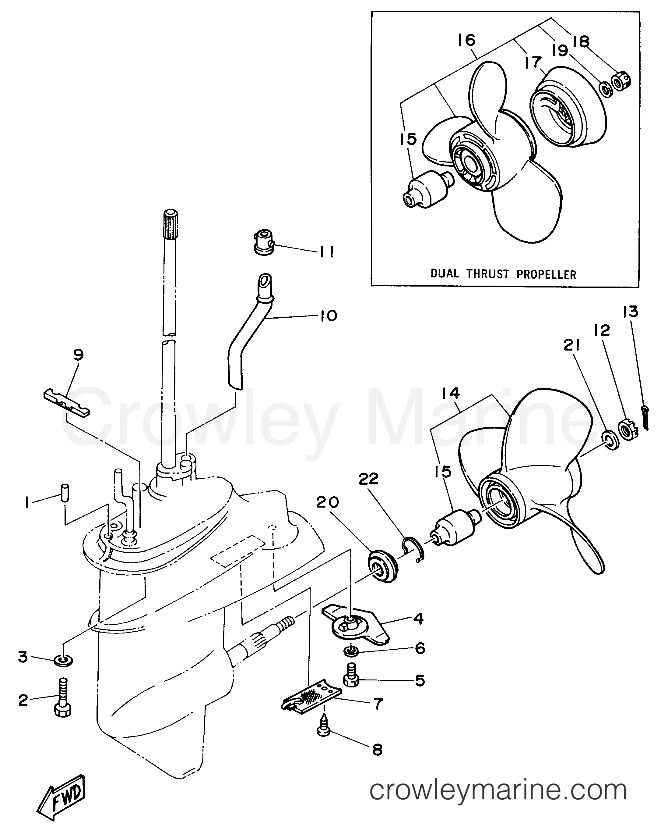 Yamaha Motors F9.9MSHV - LOWER CASING DRIVE 2