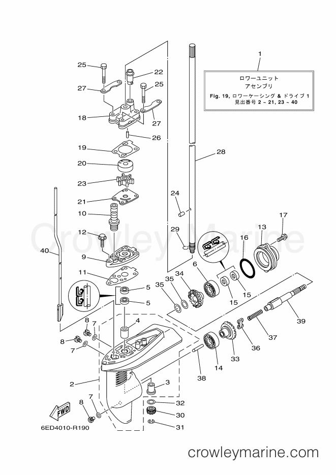 Yamaha Motors F5AMHL (6ED4) [070] - LOWER CASING & DRIVE 1