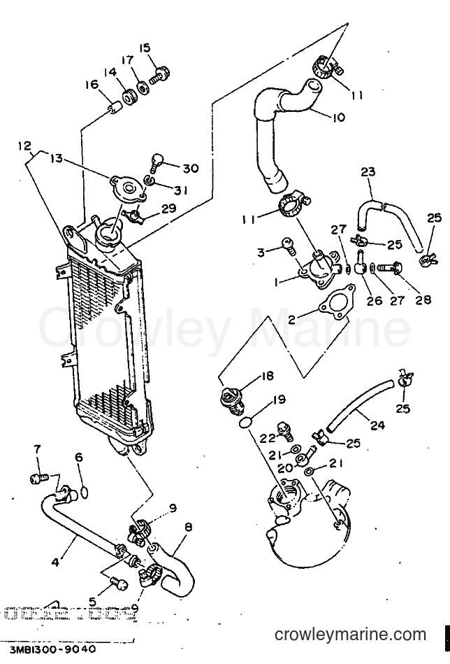 Yamaha Motors DT125R (3PY3) [999] - RADIATOR & HOSE