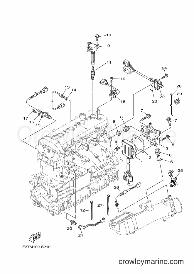 Yamaha Motors FB1800-S (F2TR) [010] - ELECTRICAL 2