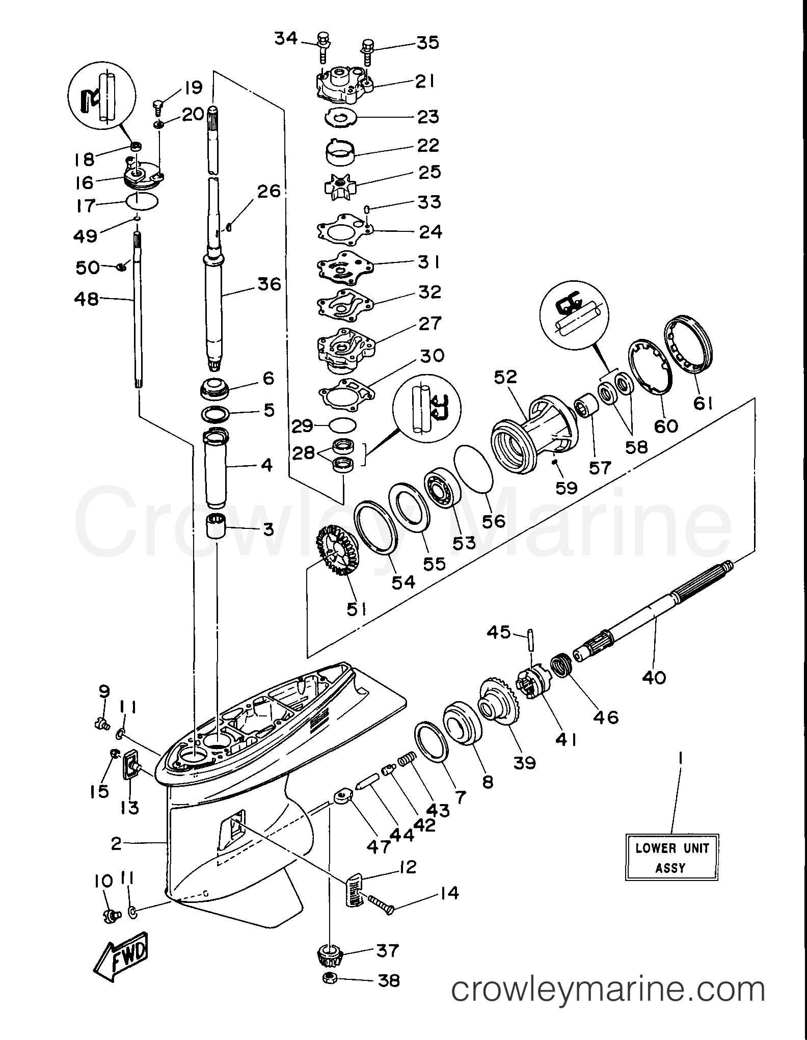 Yamaha Motors E60MLHV - LOWER CASING DRIVE 1