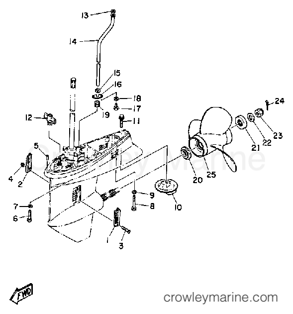 Yamaha Motors C55ELRP - LOWER DRIVE 2