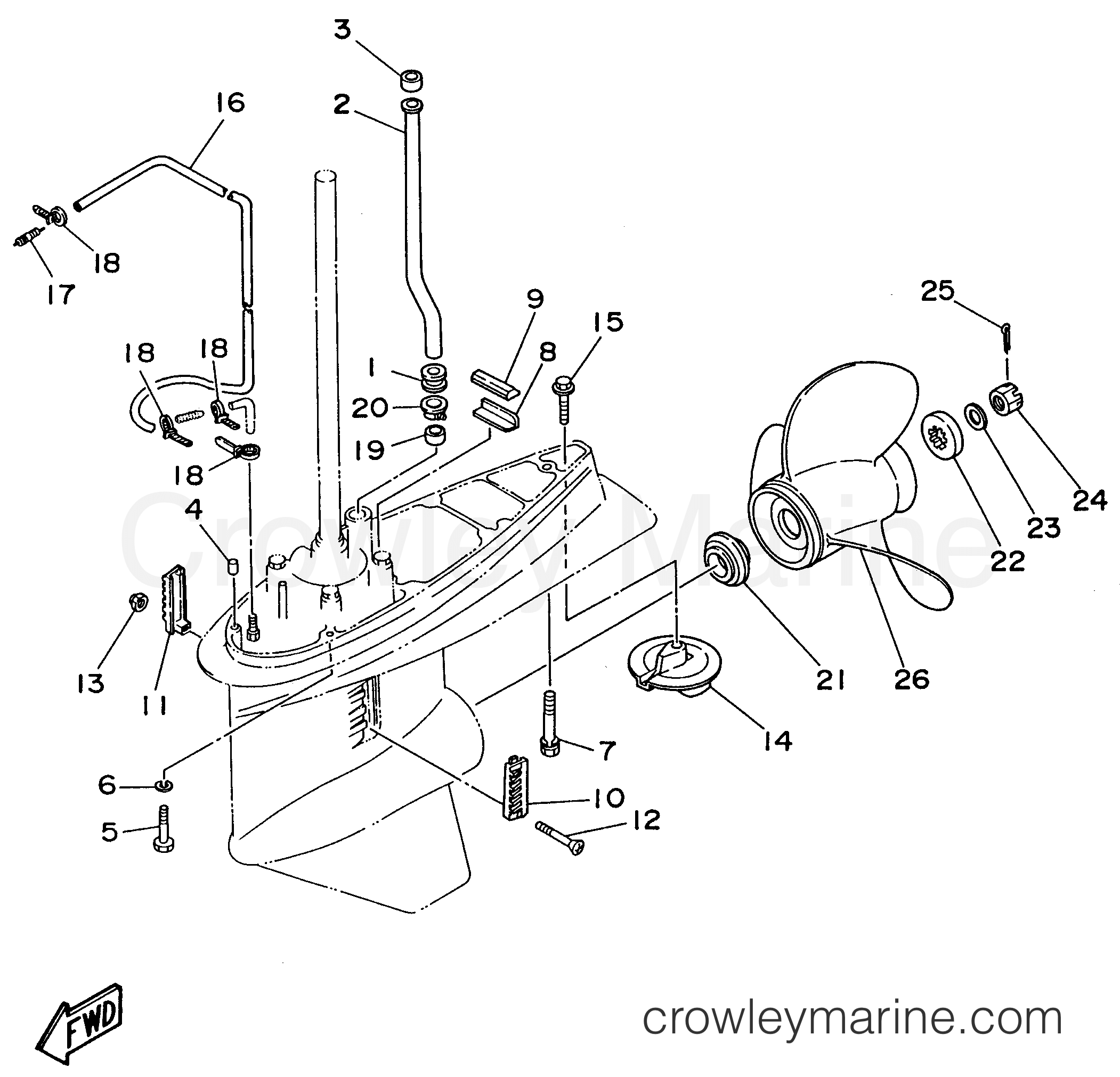 Yamaha Motors C115TLRV - LOWER CASING DRIVE 2