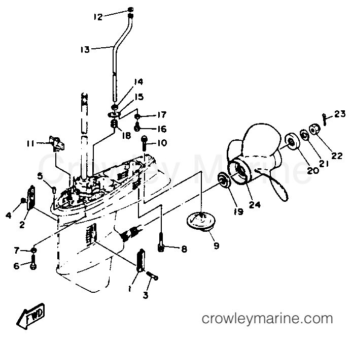 Yamaha Motors C55ELRR - LOWER DRIVE 2