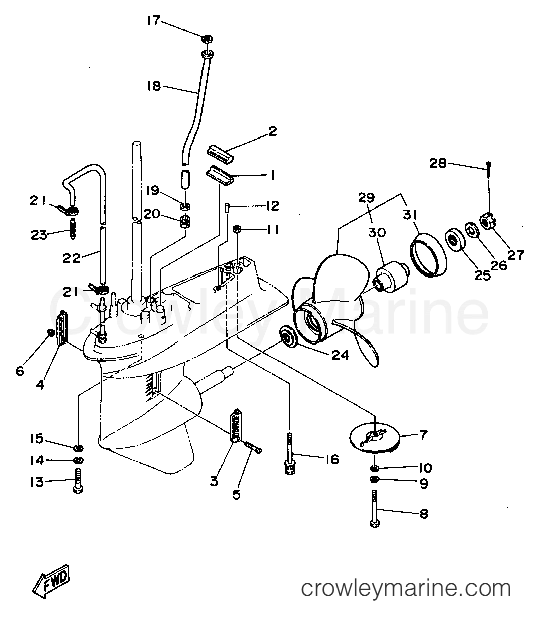 Yamaha Motors 40MLHS - LOWER CASING DRIVE 2