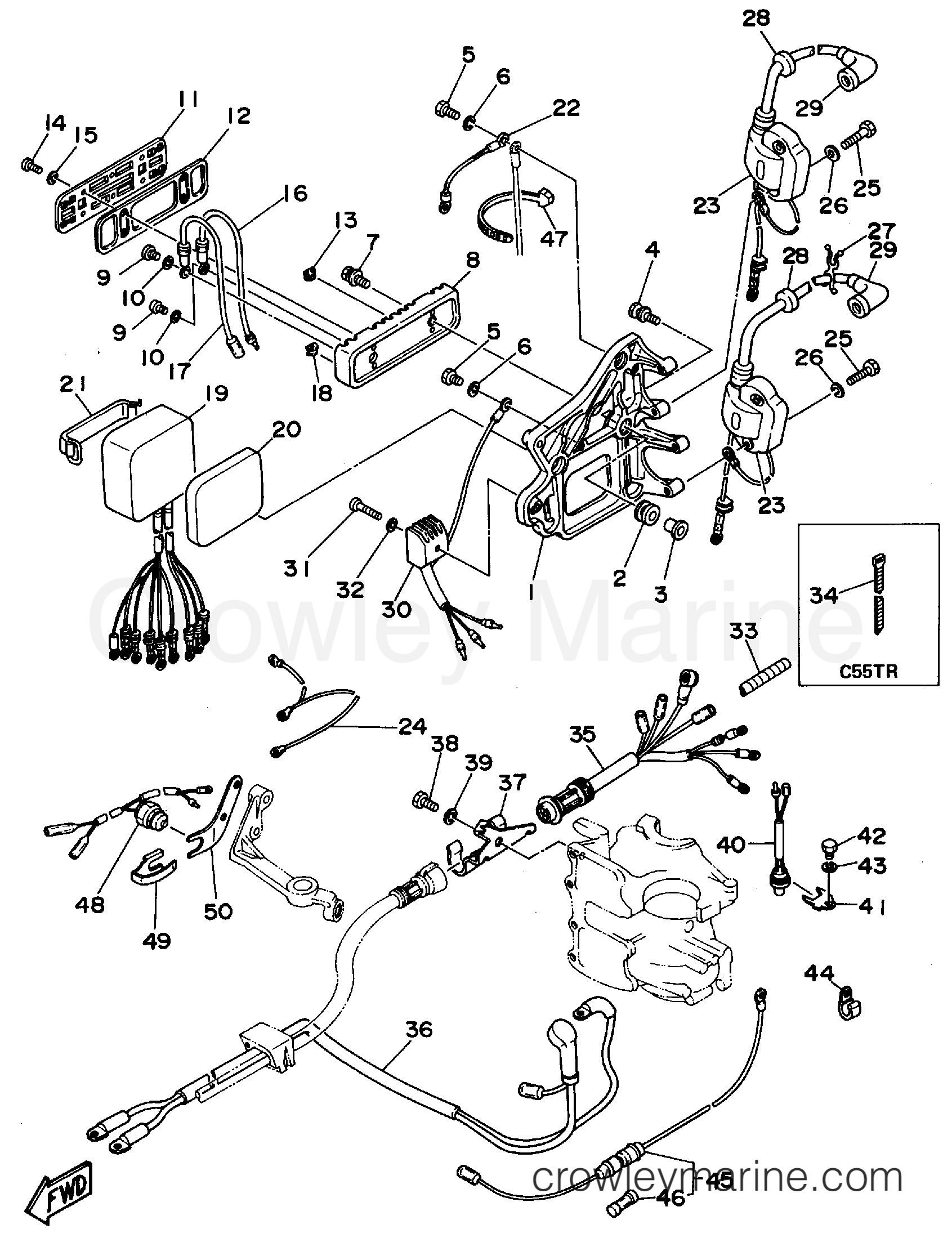 Yamaha Motors C55ELRS - ELECTRICAL 1