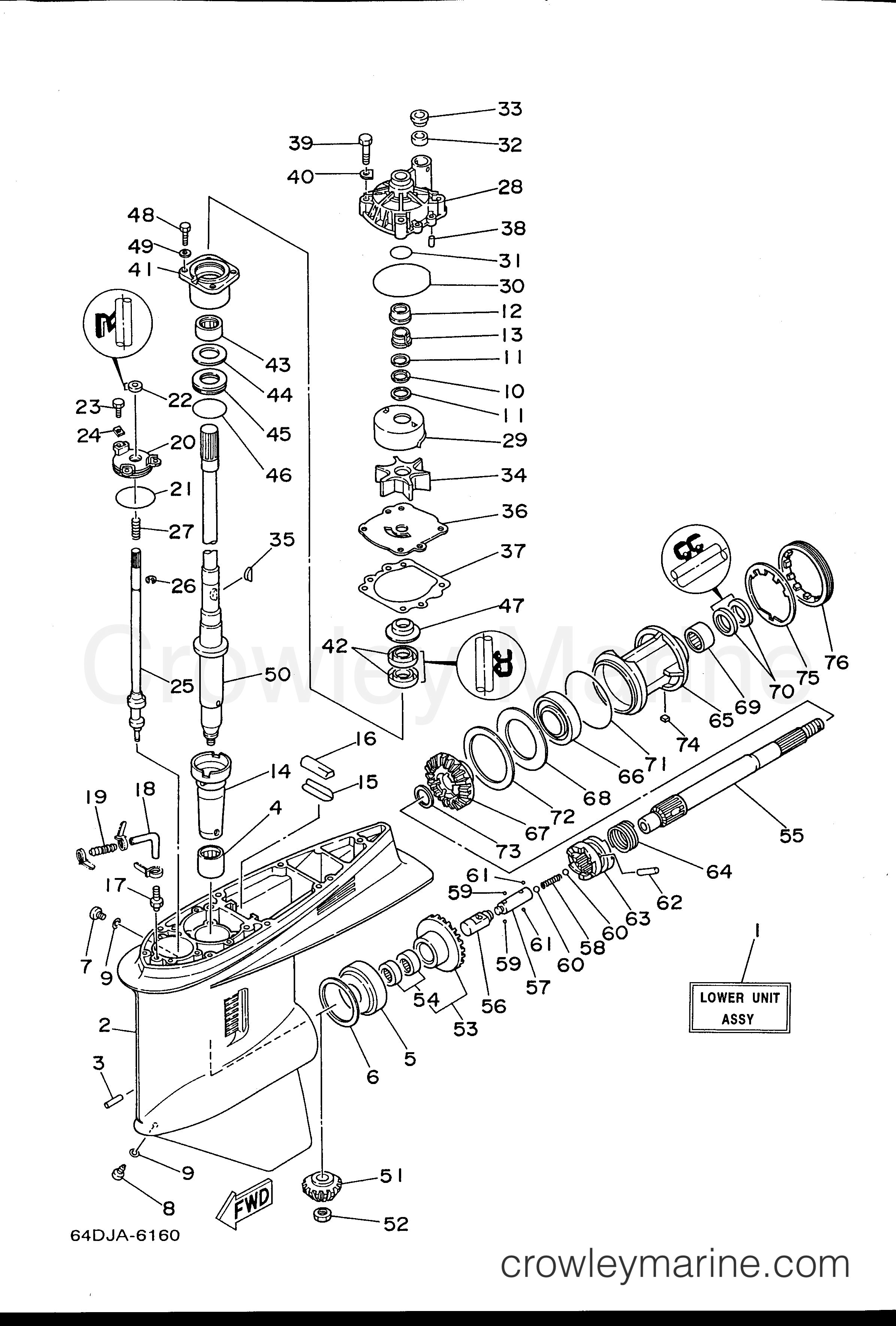 Yamaha Motors P200TLRU - LOWER CASING DRIVE 1