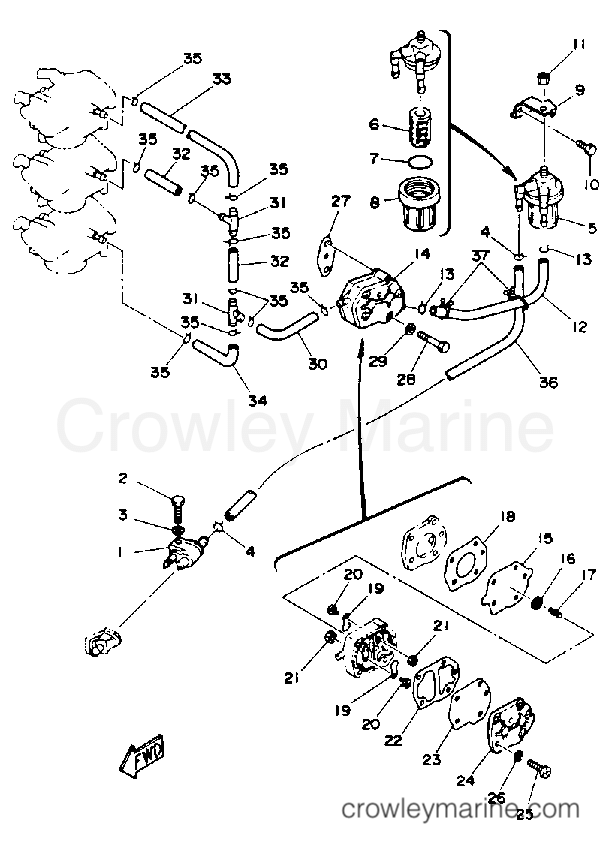 Yamaha Motors 50TLHQ - FUEL SYSTEM