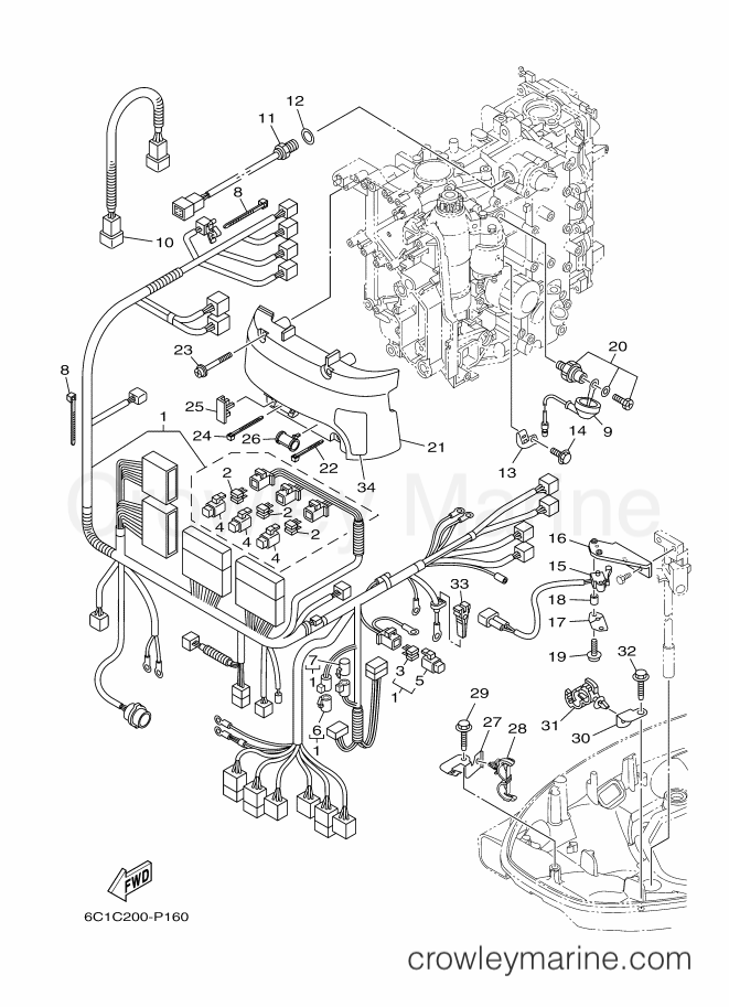 Yamaha Motors F60FETL (6C5C) [240] - ELECTRICAL 3