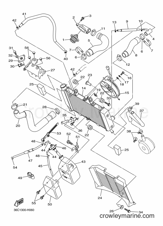 Yamaha Motors XJ6S (36C1) [040] - RADIATOR & HOSE