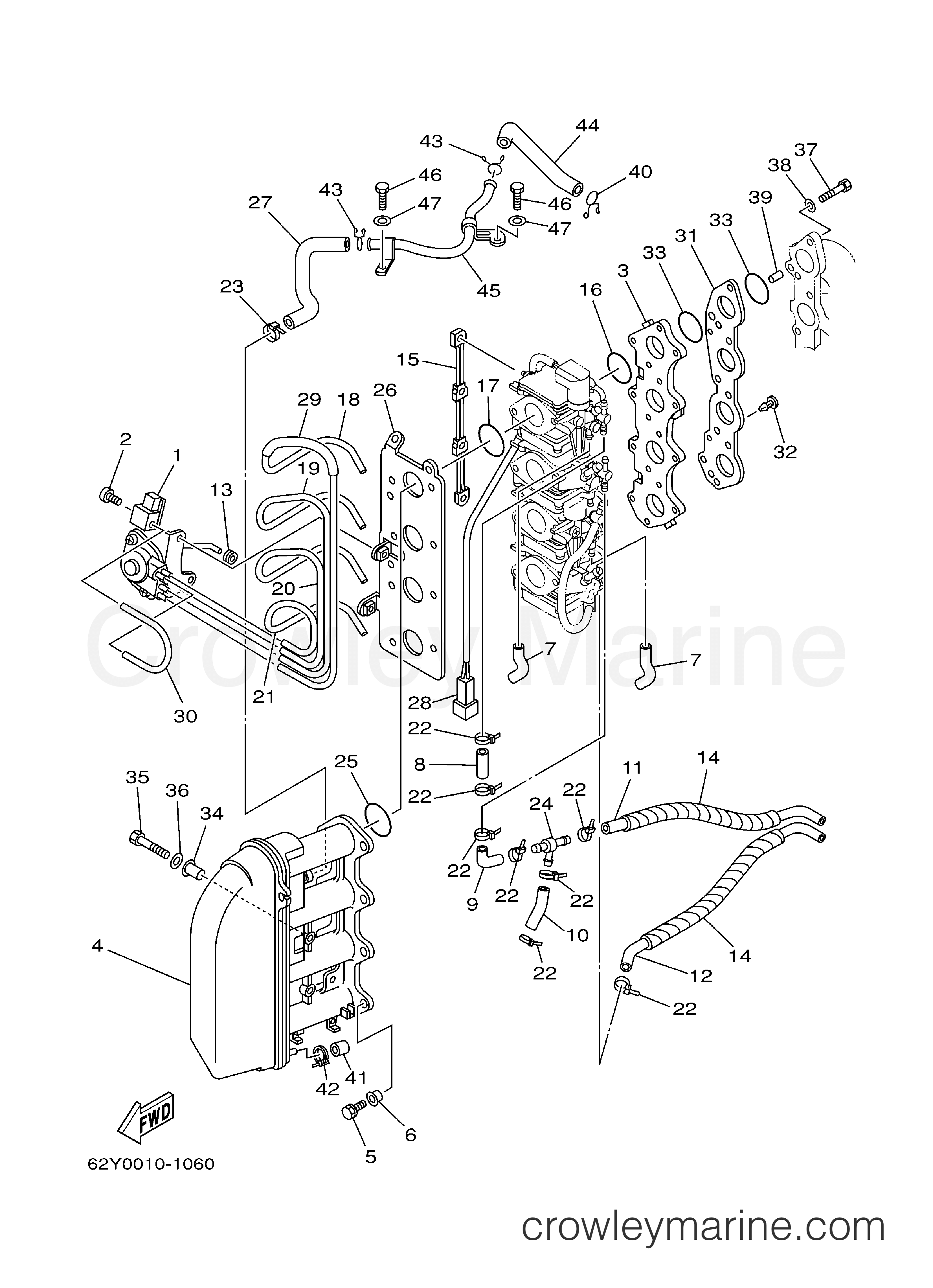 Yamaha Motors F50TLRZ - INTAKE