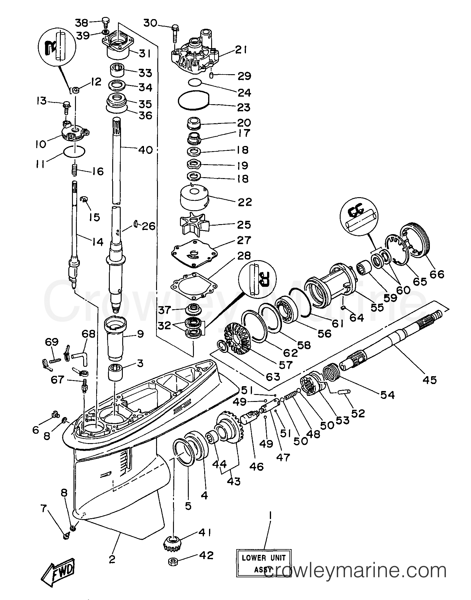Yamaha Motors C115TLRX - LOWER CASING DRIVE 1