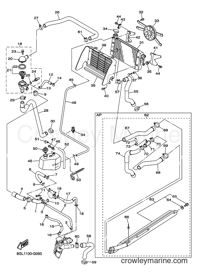 2008 Snowmobile RFX10RS - RFX10RS (8HB2) [010] - RADIATOR & HOSE