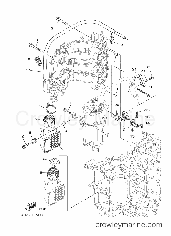 Yamaha Motors F60FET (6C5C) [240] - INTAKE 2