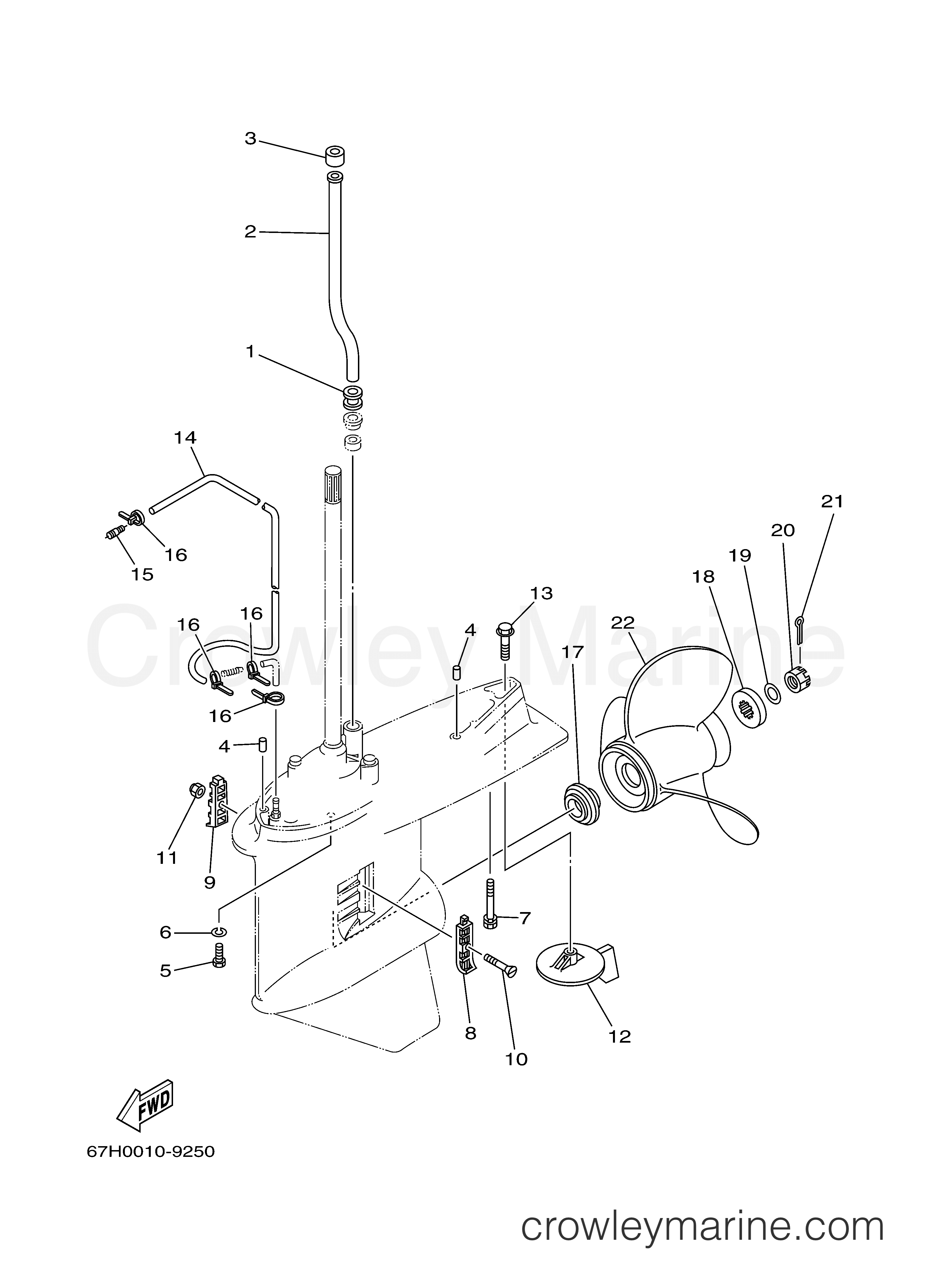 Yamaha Motors 150TJRY - LOWER CASING DRIVE 2