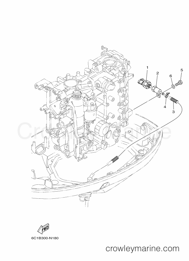 Yamaha Motors F50HEDL (6C1B) [020] - ELECTRICAL 5