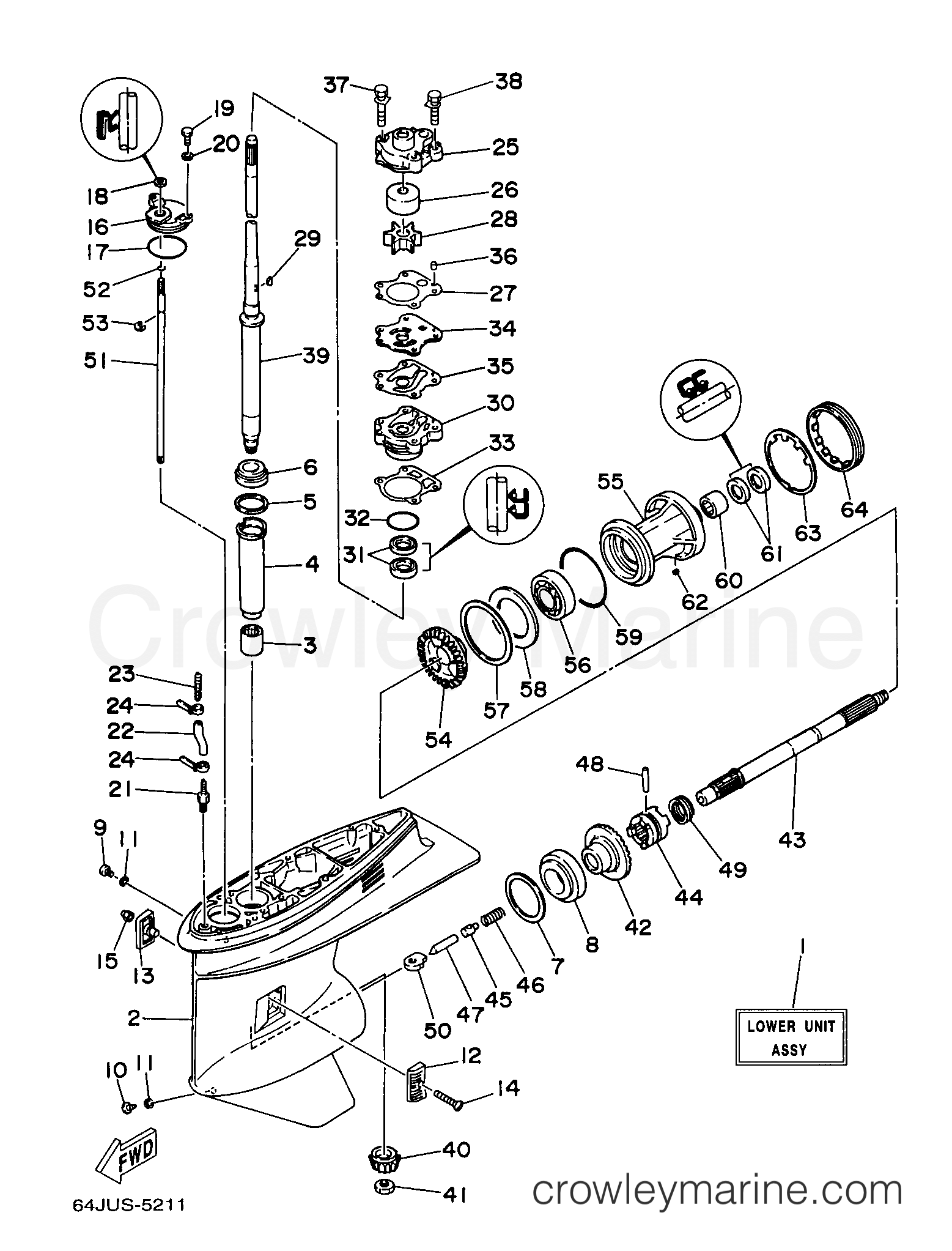 Yamaha Motors F50TLRV - LOWER CASING DRIVE 1  (T50)