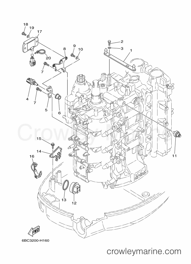 Yamaha Motors F75CEDL (6BC3) [080] - ELECTRICAL 4