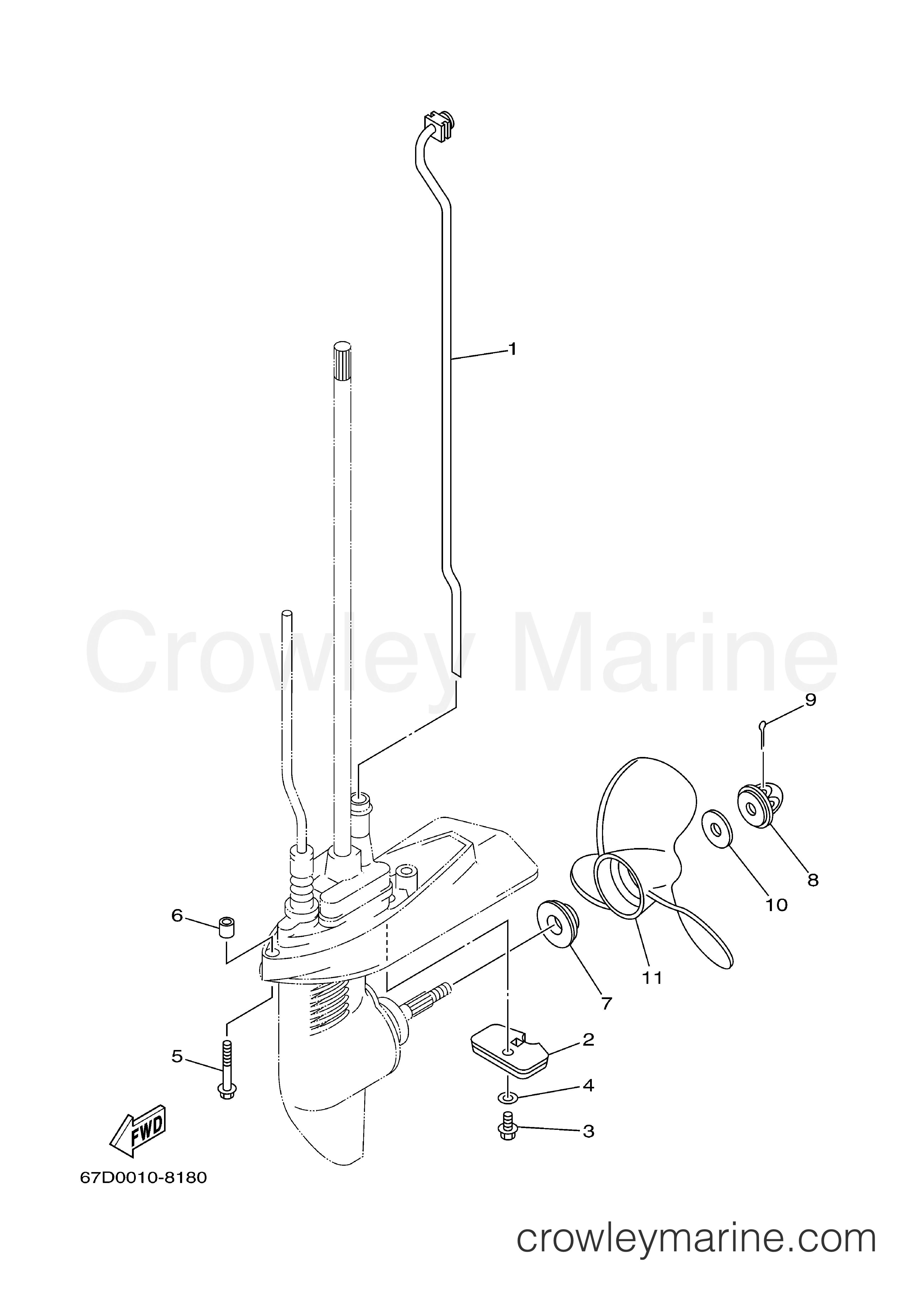 Yamaha Motors F4MSHD - LOWER CASING DRIVE 2
