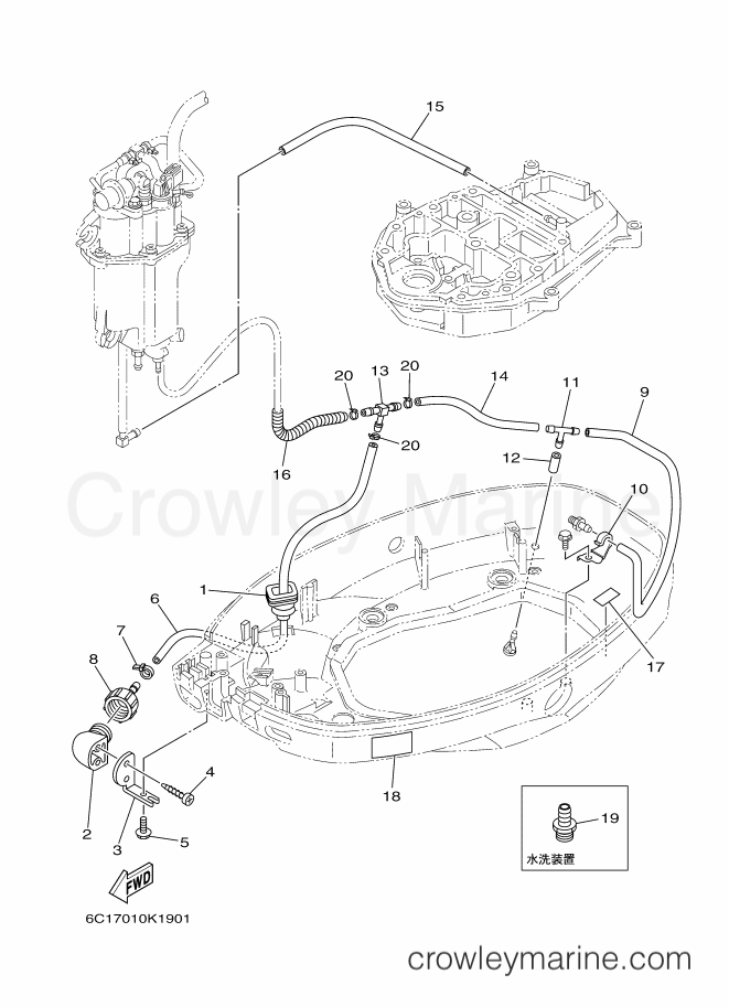 Yamaha Motors F50FEHTX (6C17) [320] - BOTTOM COWLING 2