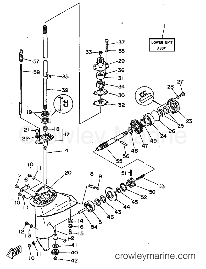 Yamaha Motors E8D (677) [03B] - LOWER CASING & DRIVE
