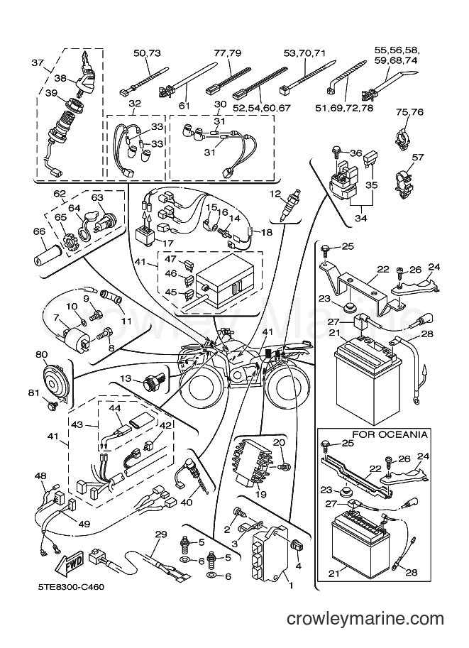 2004 ATV YFM400FWAN - YFM400FWAN (5TE8) [010] - ELECTRICAL 1
