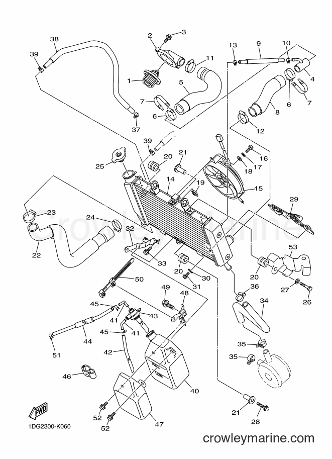 Yamaha Motors XJ6FA (1DG2) [040] - RADIATOR & HOSE
