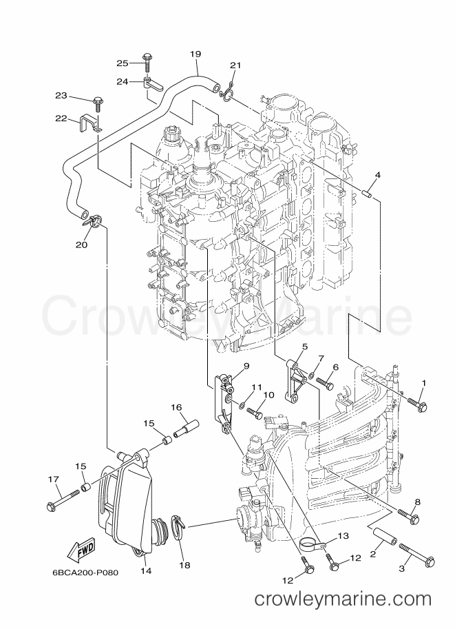 Yamaha Motors F75CEHDL (6BCA) [020] - INTAKE 2
