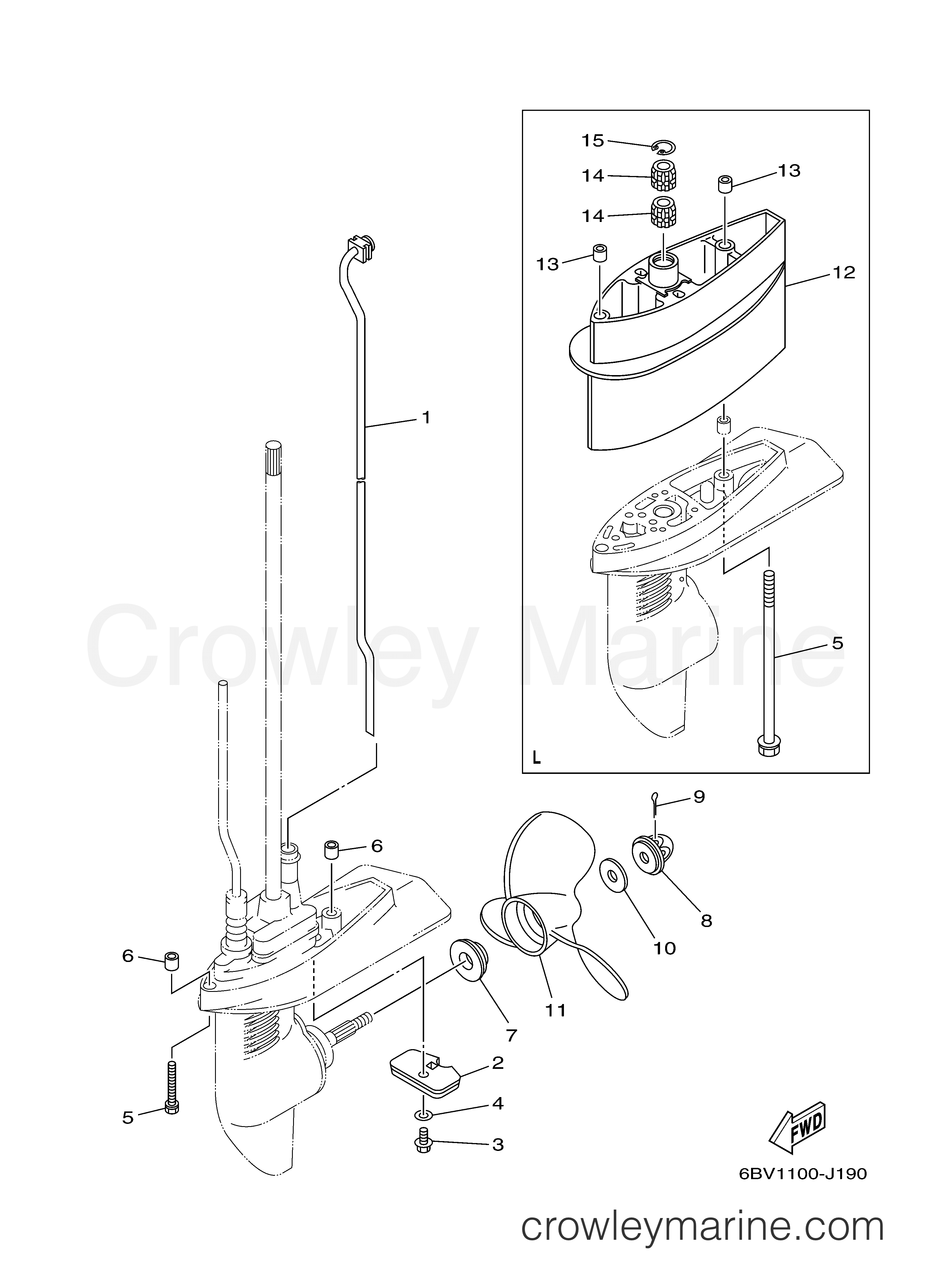 Yamaha Motors F6LMHA - LOWER CASING DRIVE 2